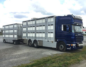 SCANIA R620 V8 For animal transport - do zywca + livestock trailer
