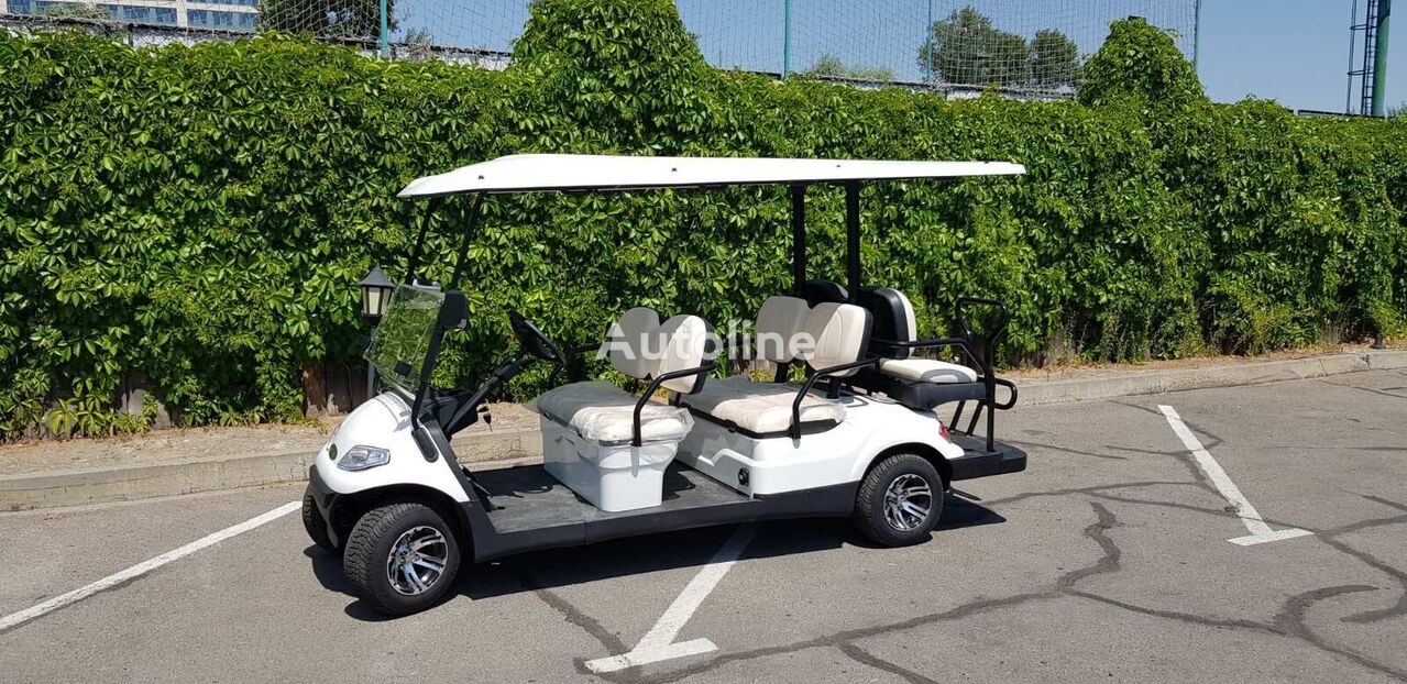 new LVTong LT-A627.4+2 golf cart