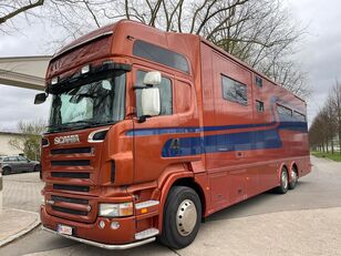 Scania R380 horse truck