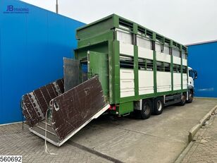 MAN TGS 35 440 8x4,EURO 5,Retarder,Animal transport,2 laye,4 Comp livestock truck