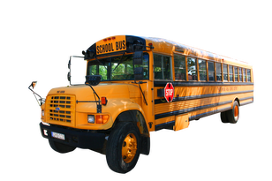 FORD B 800 Thomas school bus