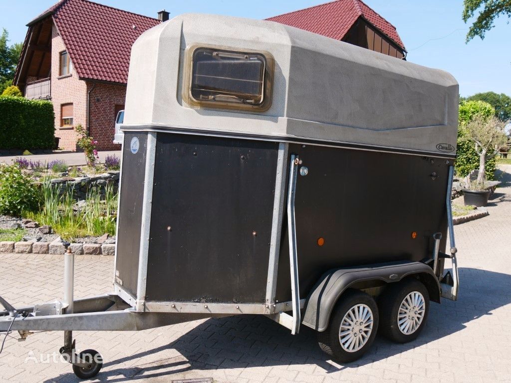 Böckmann Cavallo 1300 kg Gesamtgewicht horse trailer