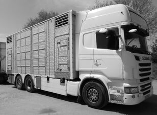 SCANIA R560 V8 for animal transport - do zywca livestock truck